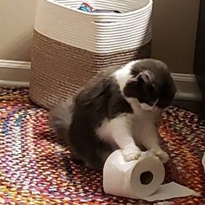 Meet your Posher, Delaney